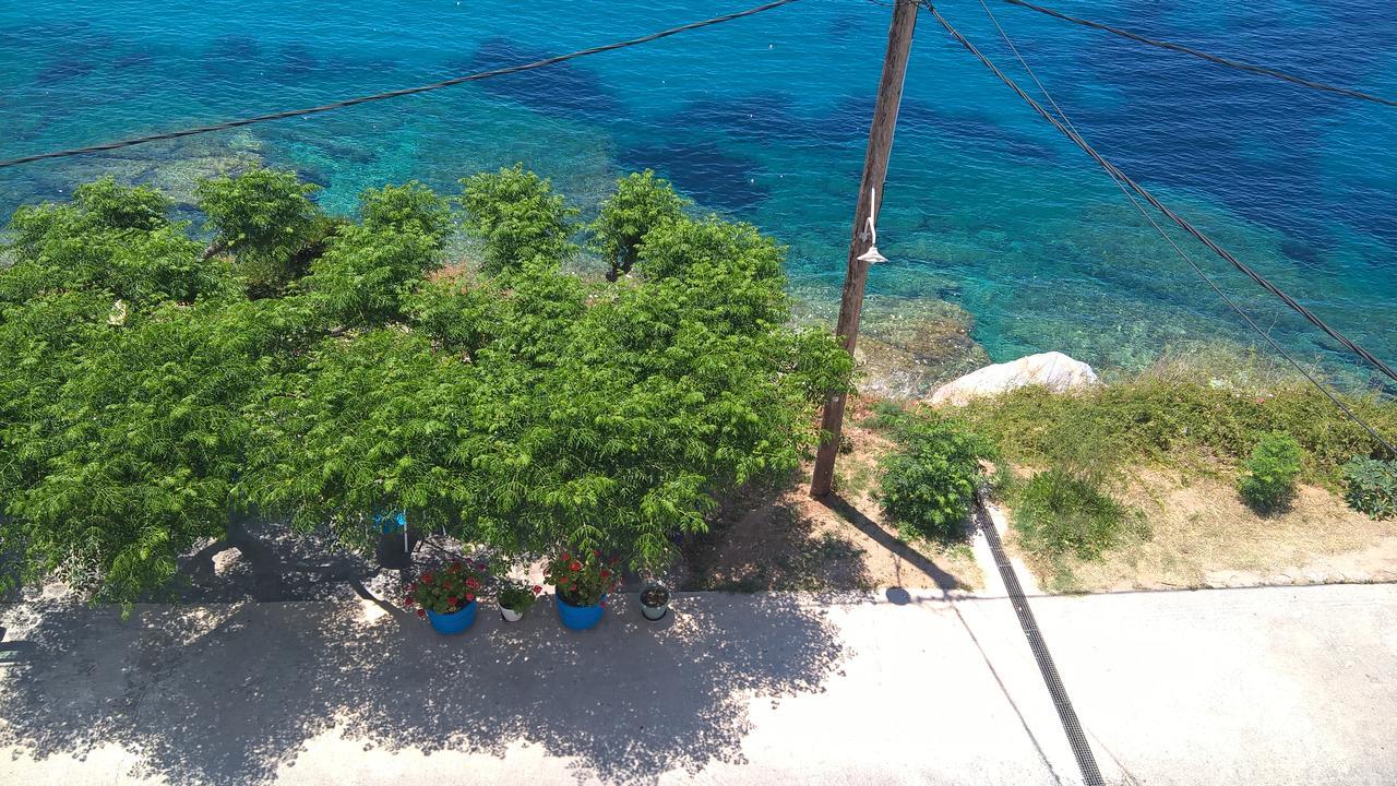 Villa Pitsa باتسي المظهر الخارجي الصورة